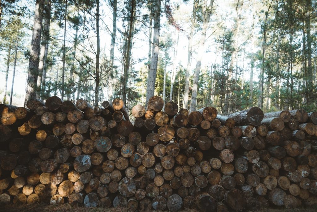 Kjo figurë ka një atribut alt të zbrazët; emri i kartelës për të është p1-1-1024x683.jpg