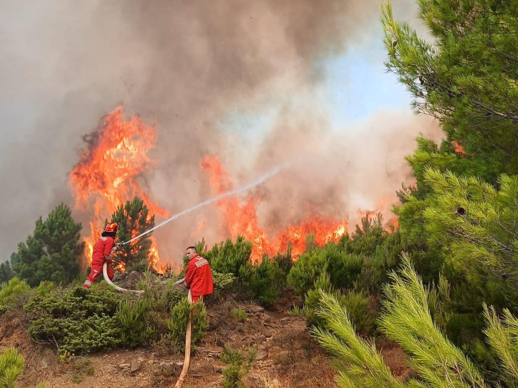 Bilanci i zjarreve: Rreth 10,000 hektarë sipërfaqe të humbura këtë vit