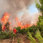 Bilanci i zjarreve: Rreth 10,000 hektarë sipërfaqe të humbura këtë vit