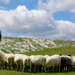 Blegtoria përballë sfidave të së ardhmes dhe zgjidhjet që propozojnë ekspertët